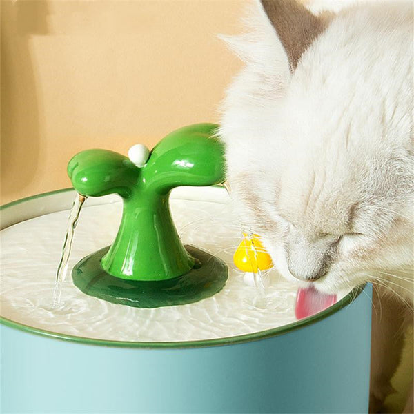 Bowls and Feeders - Cats