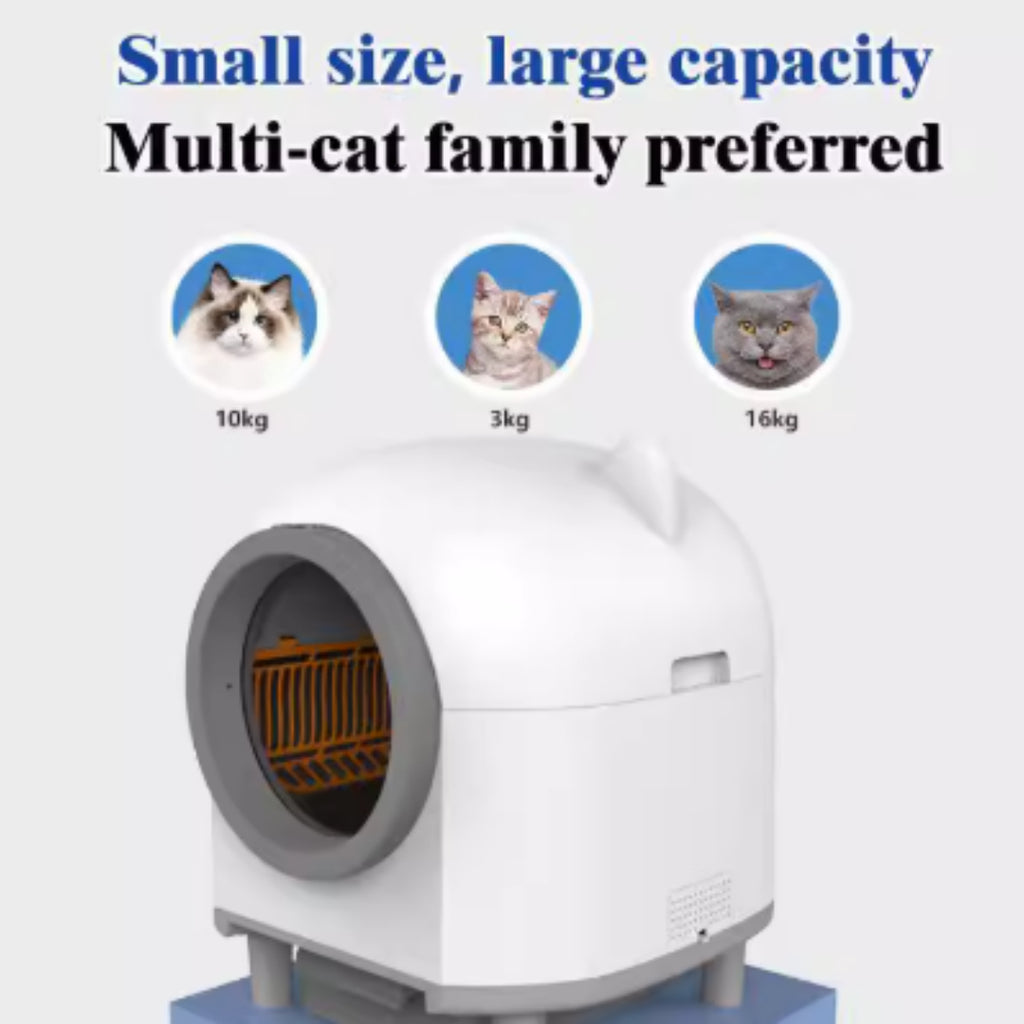 00a9c716-17b1-4202-9b58-82b435be4a28 - Pet Centric