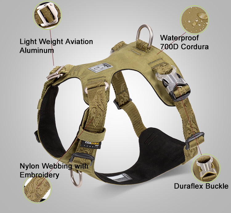 b2502eb8a037915ca0a2cb6a3555a428