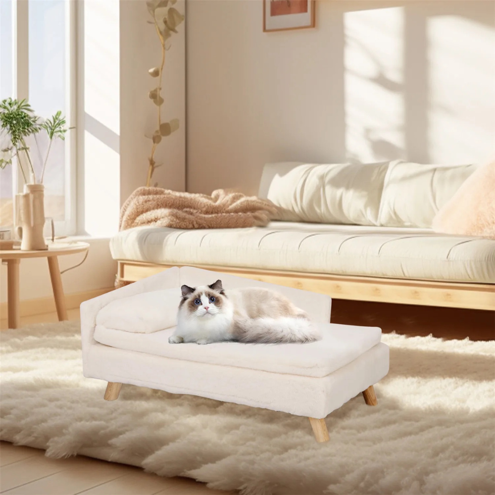 2024082003501 - Pet Centric