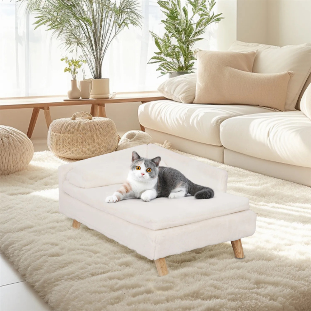 2024082003503 - Pet Centric