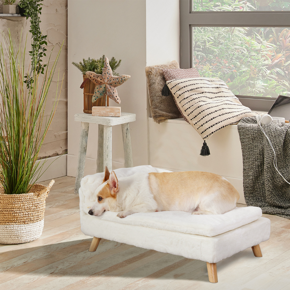 2024082003508 - Pet Centric