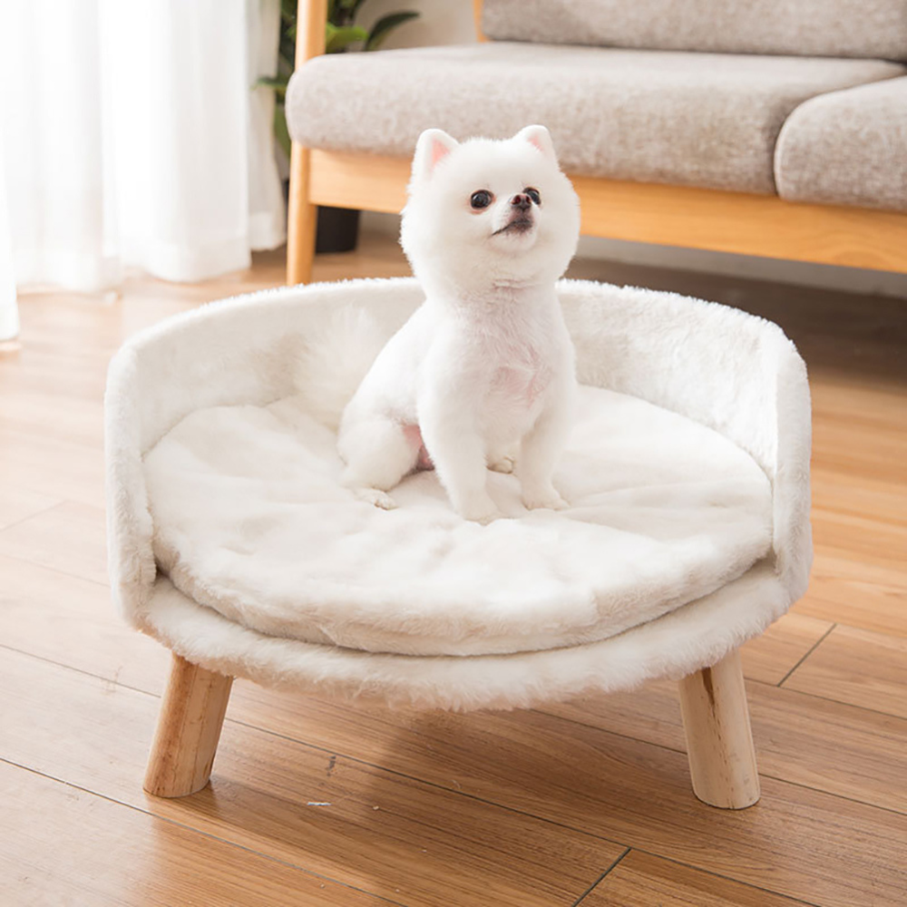 2024082309101 - Pet Centric