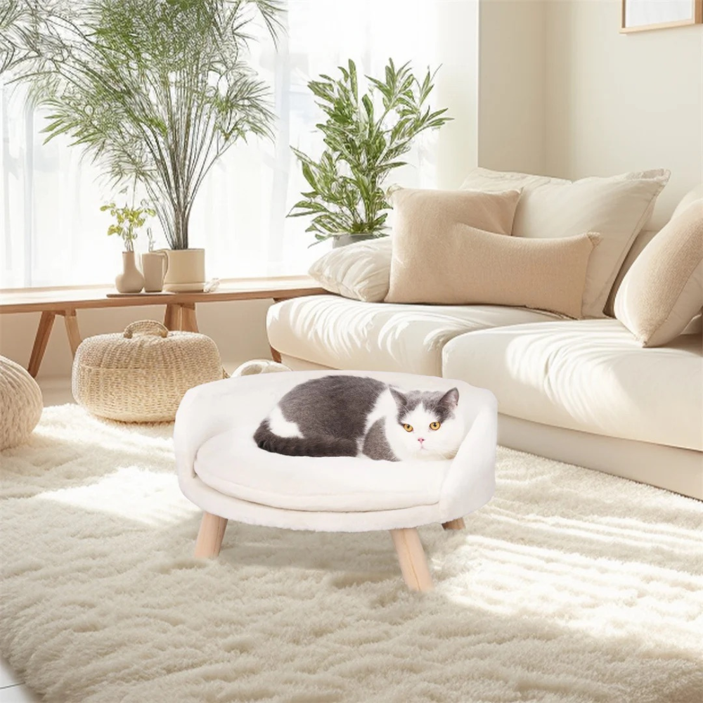 2024082309102 - Pet Centric
