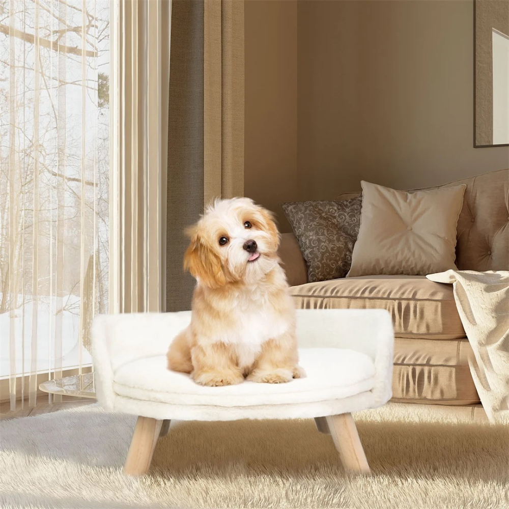 2024082309104 - Pet Centric