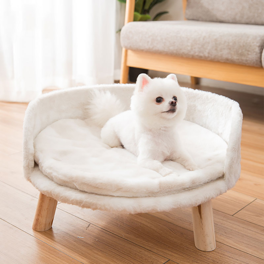 2024082309105 - Pet Centric