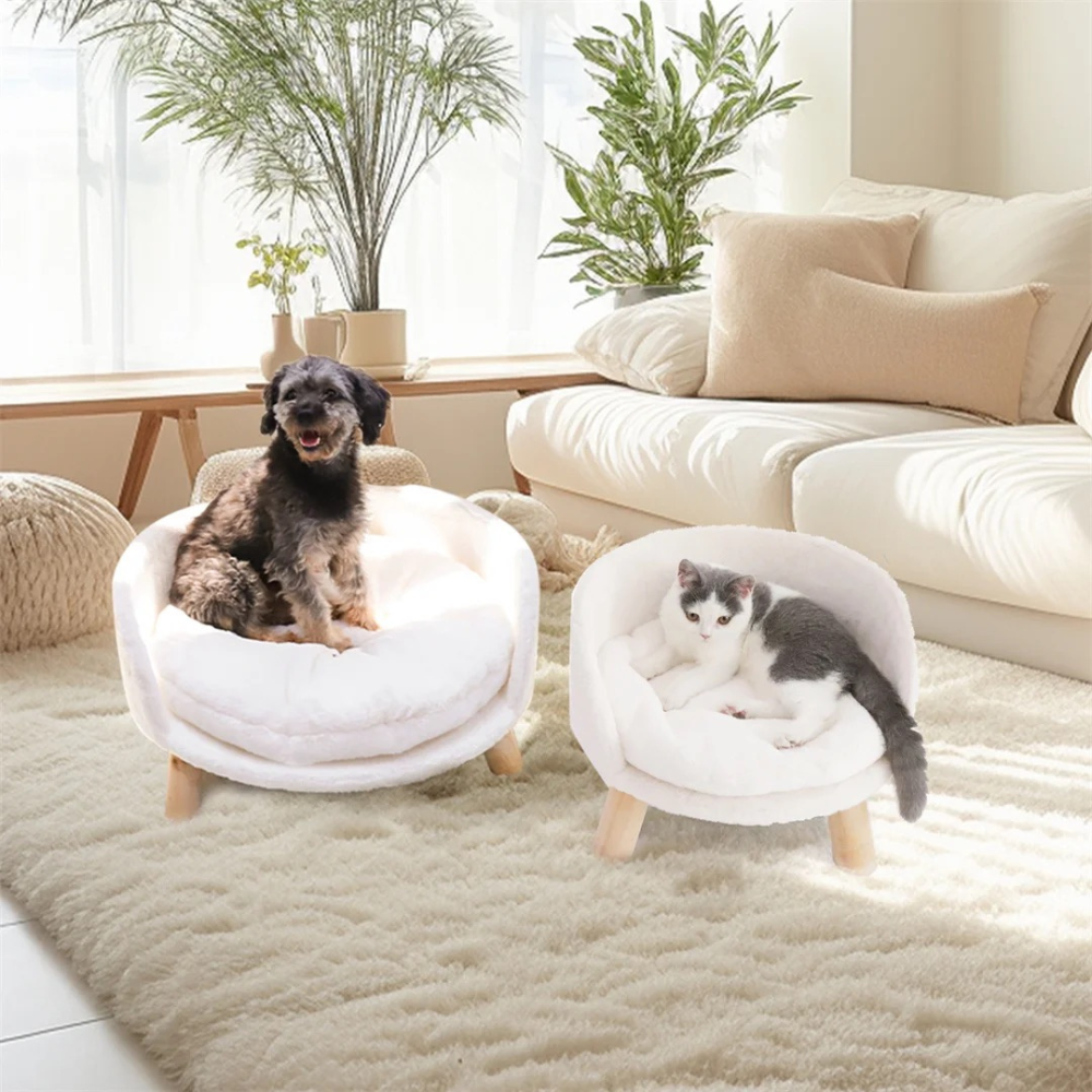 2024082309106 - Pet Centric