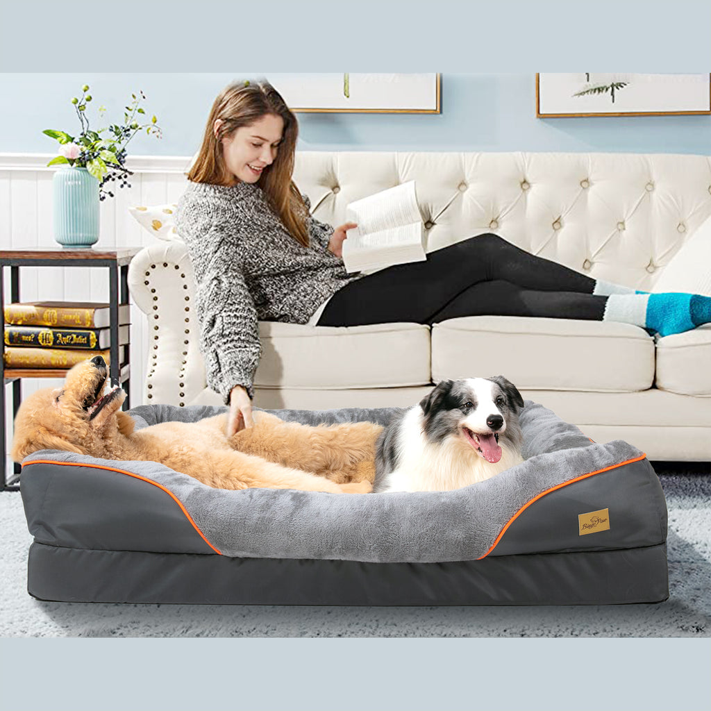 2024090802483flTS250a9fdf703741ac80320d7624851334c - Pet Centric