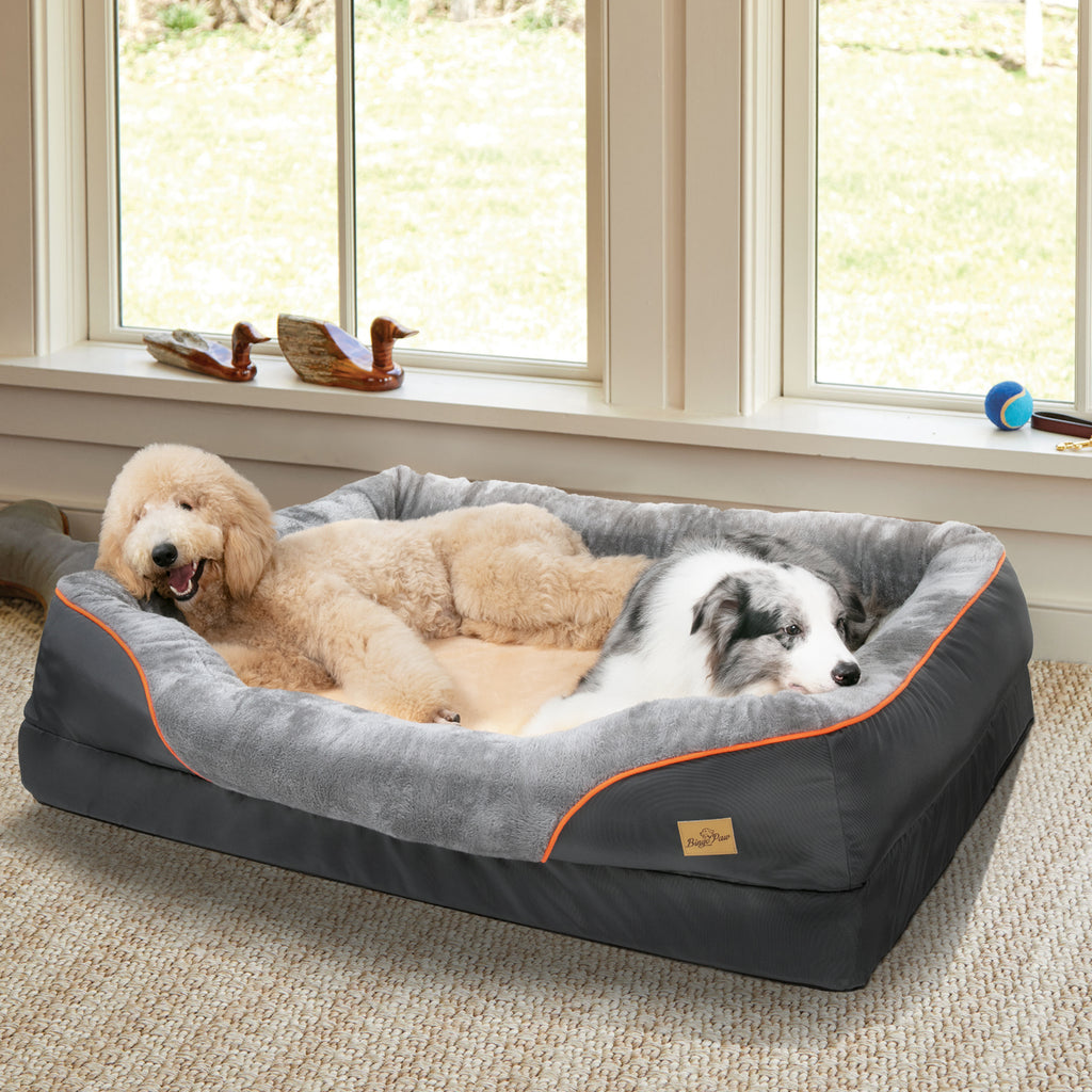 202409080248o1lXSac8586118245464ea3481941778d7077H - Pet Centric