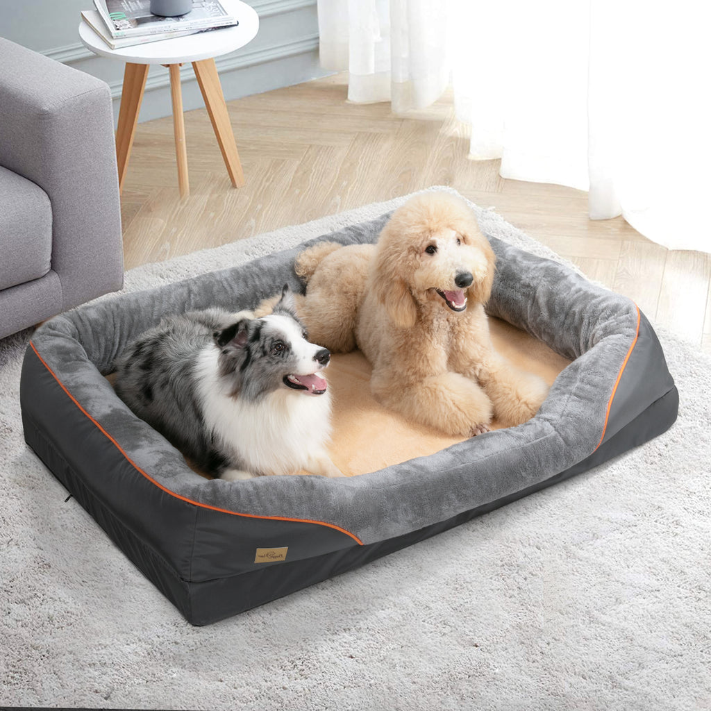202409080248wxsaS7e35266ddb0e4901bc79dddc503963ebg - Pet Centric