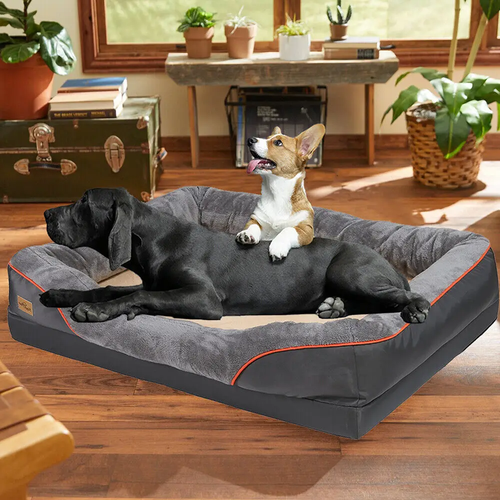 2024090802521 - Pet Centric