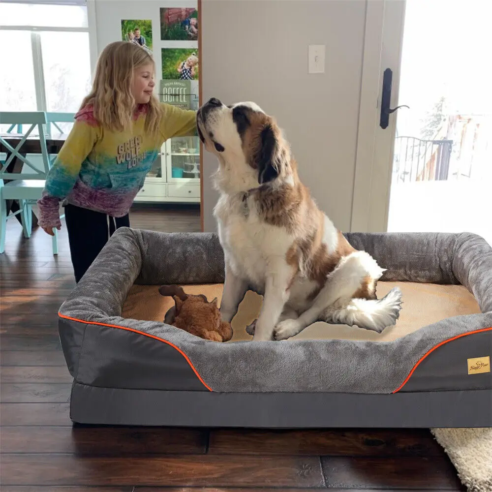 2024090802522 - Pet Centric