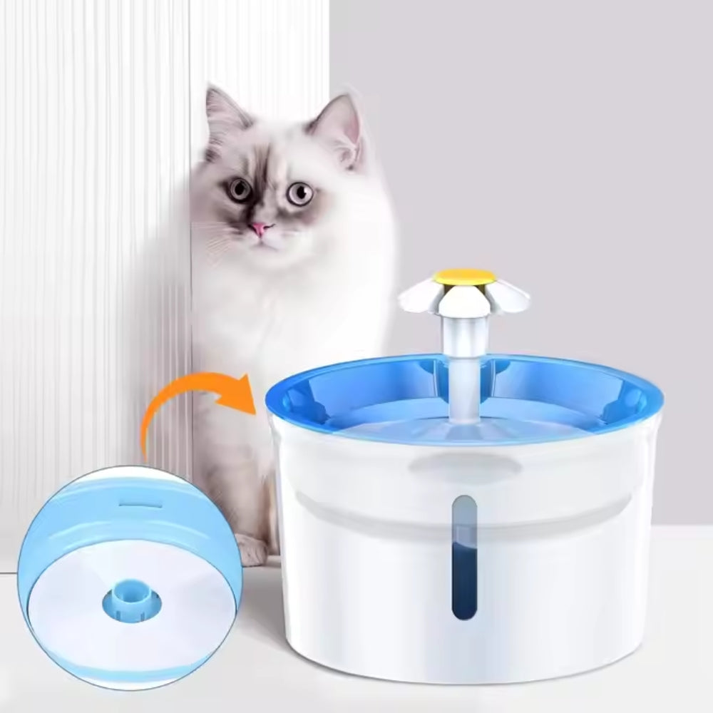 2024111803192 - Pet Centric
