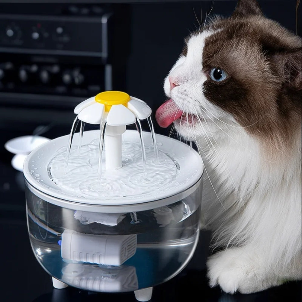 2024111803431 - Pet Centric