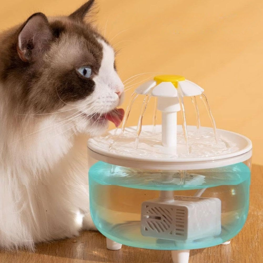 2024111803432 - Pet Centric