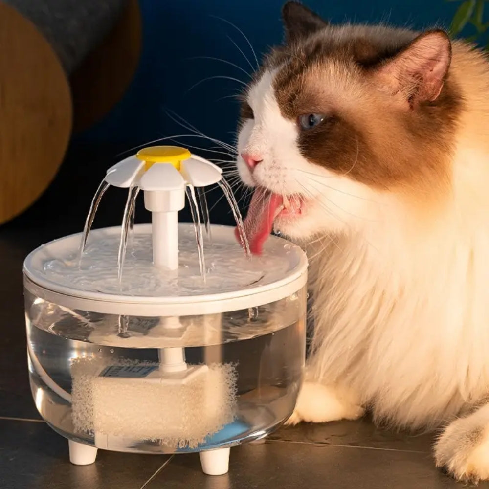 2024111803433 - Pet Centric