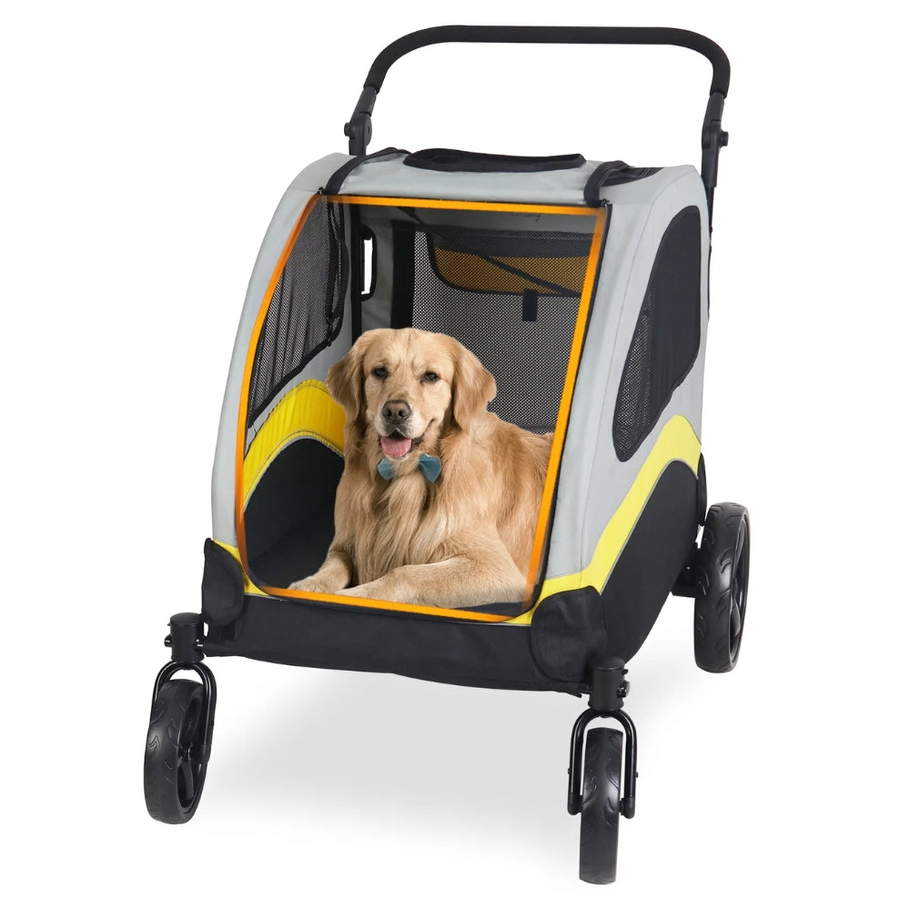 2024111906542 - Pet Centric