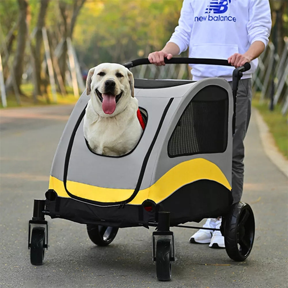 2024111906545 - Pet Centric