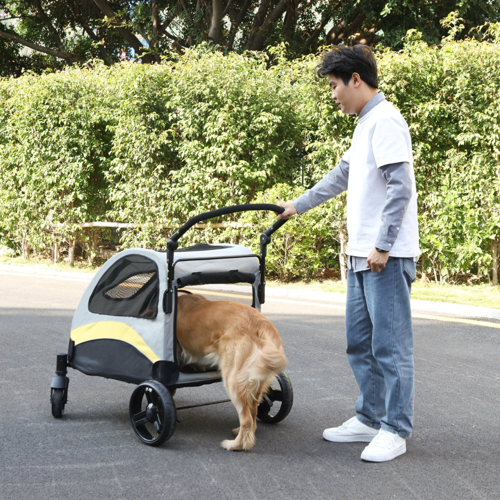2024111906547 - Pet Centric