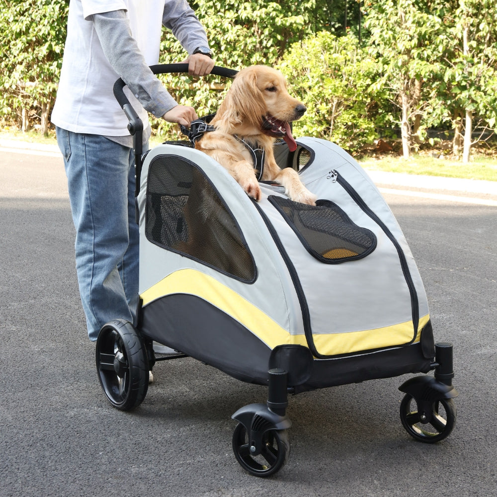 2024111906548 - Pet Centric