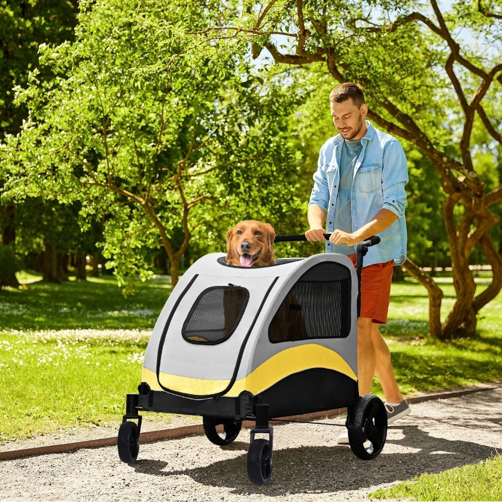 2024111906549 - Pet Centric