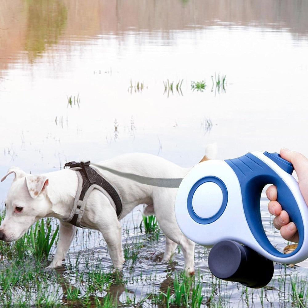 2024120509082 - Pet Centric