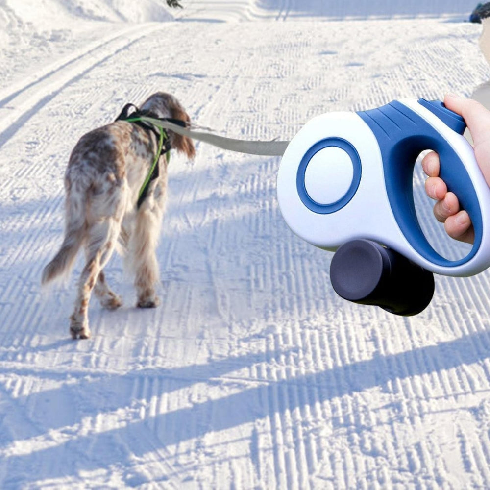 2024120509083 - Pet Centric