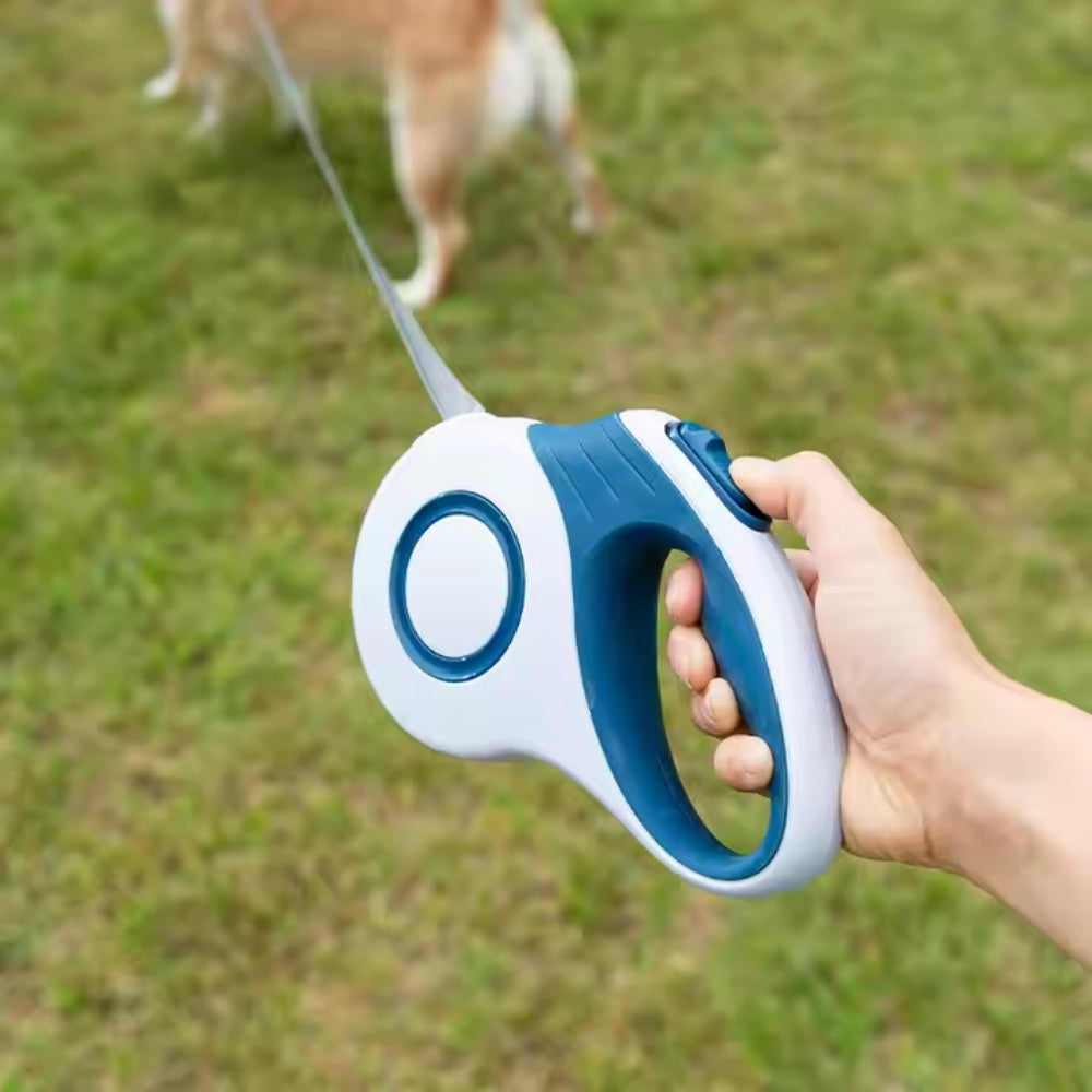 2024120509084 - Pet Centric