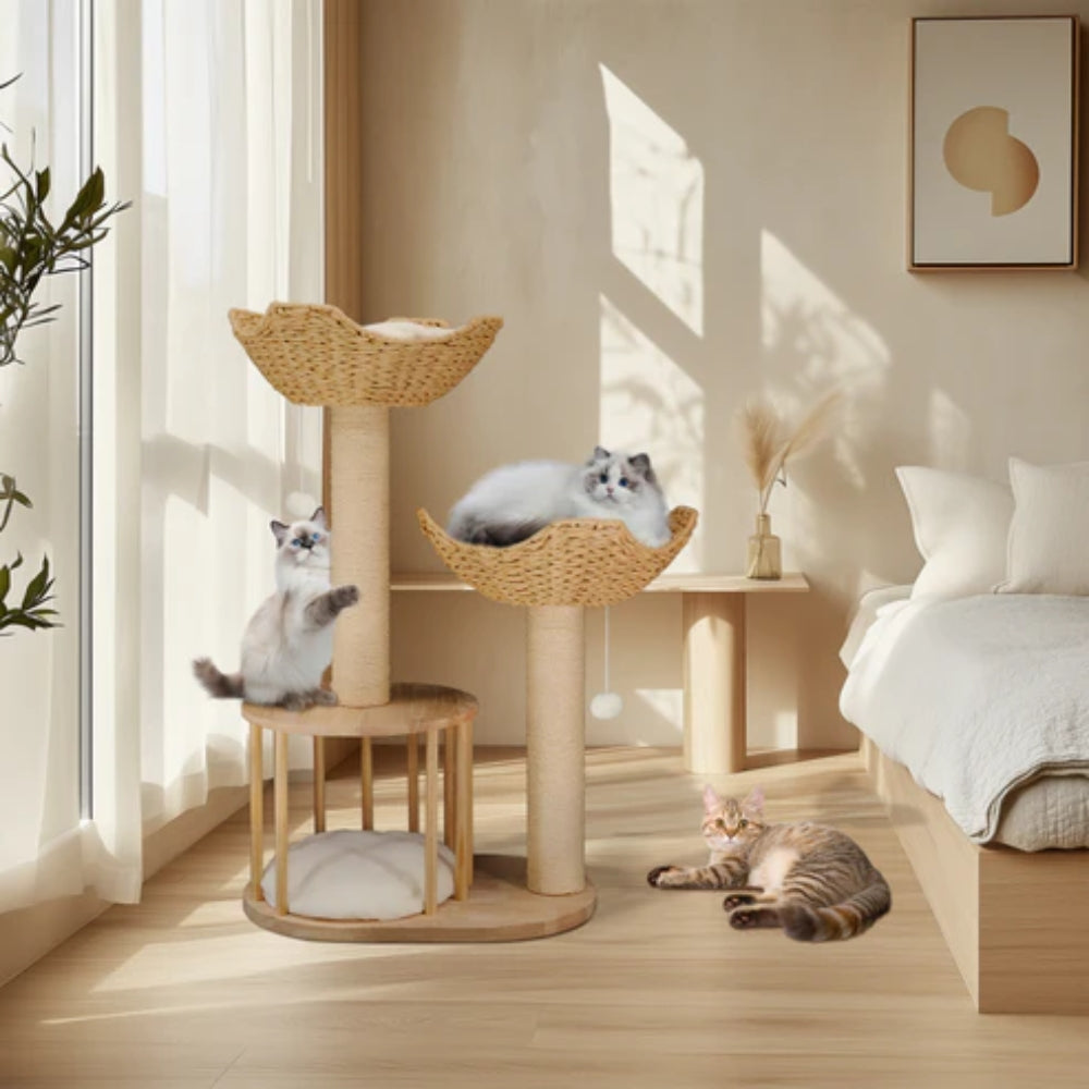 2025010702381 - Pet Centric