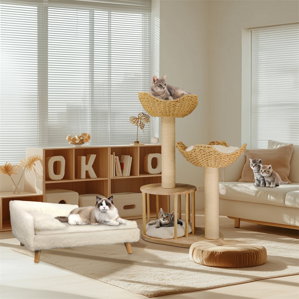 2025010702382 - Pet Centric