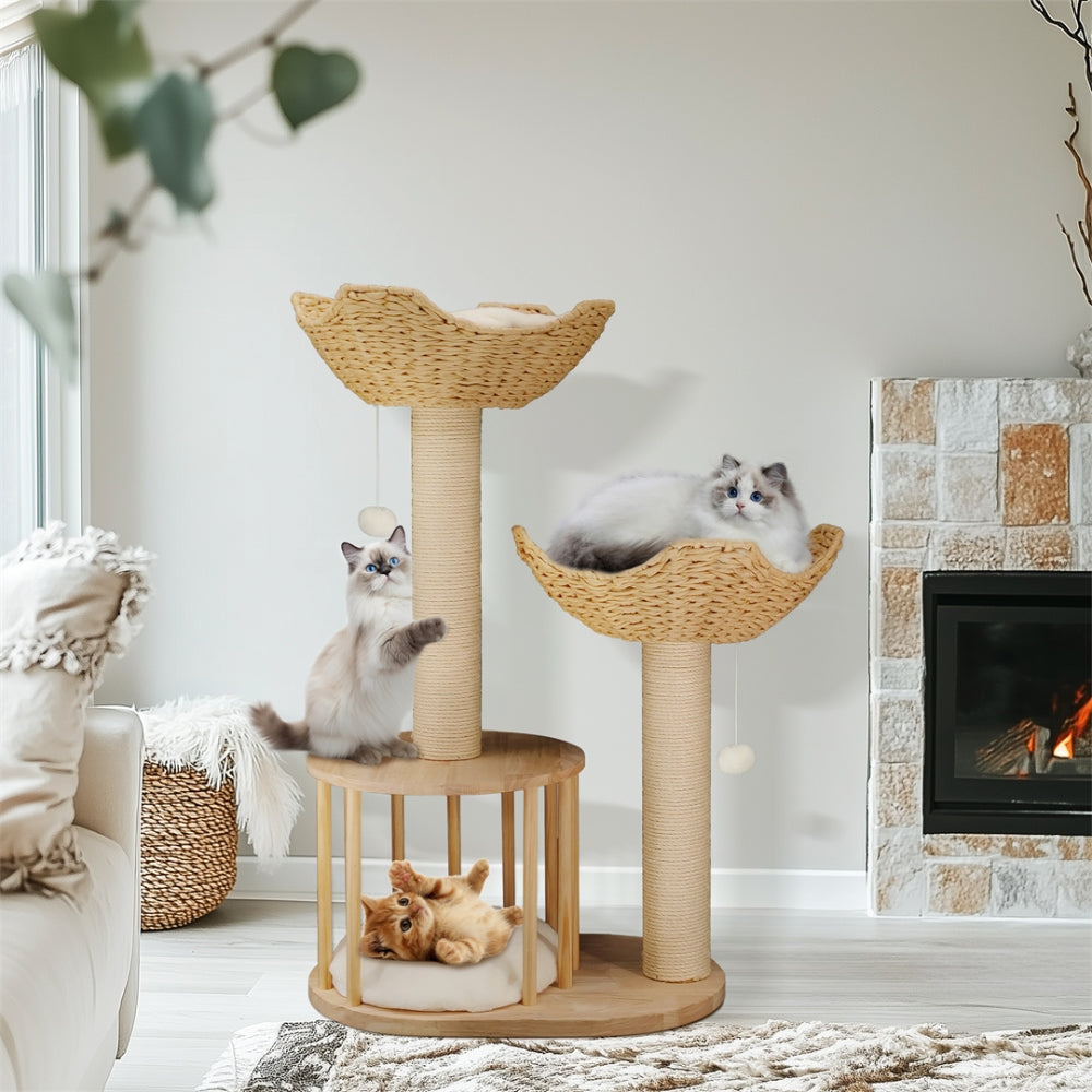 2025010702384 - Pet Centric