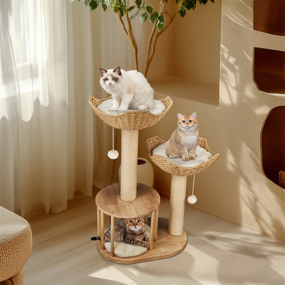 2025010702385 - Pet Centric