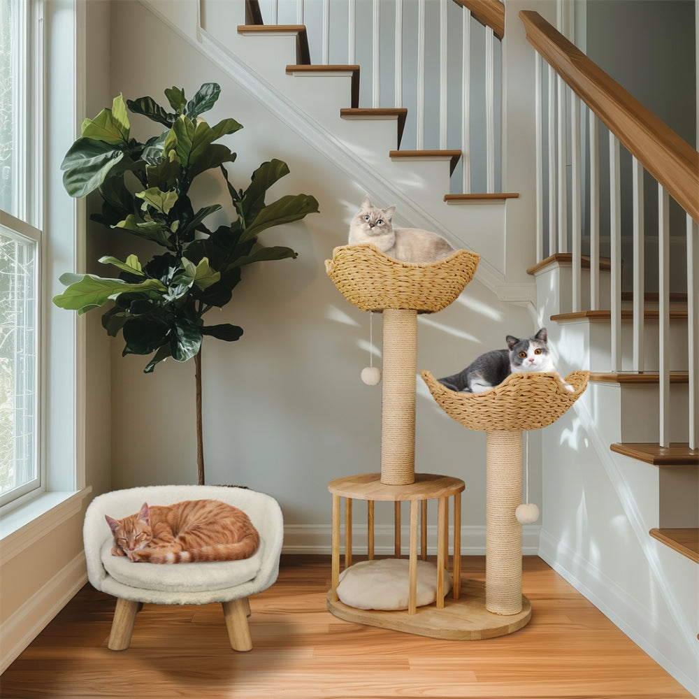 2025010702386 - Pet Centric