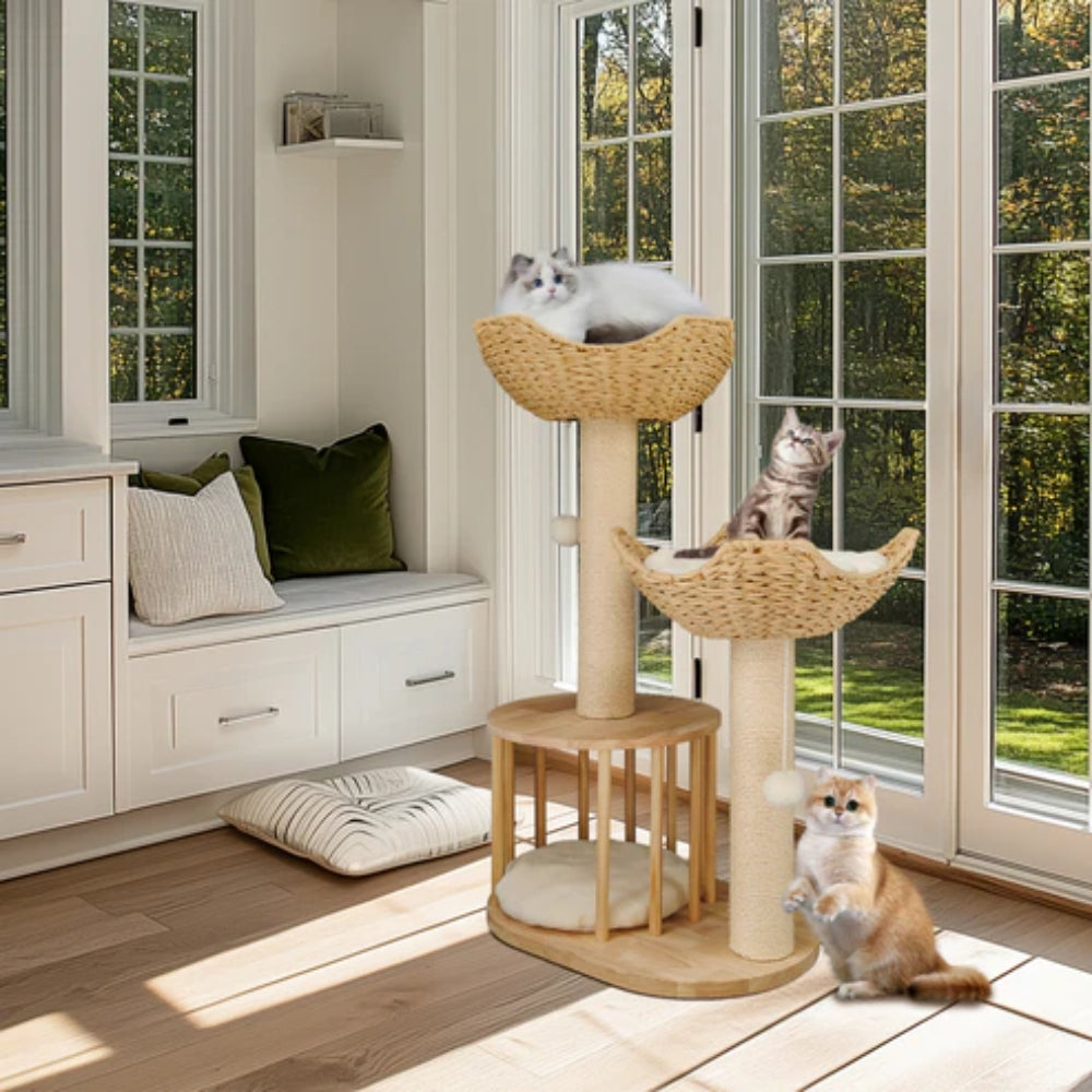 2025010702387 - Pet Centric
