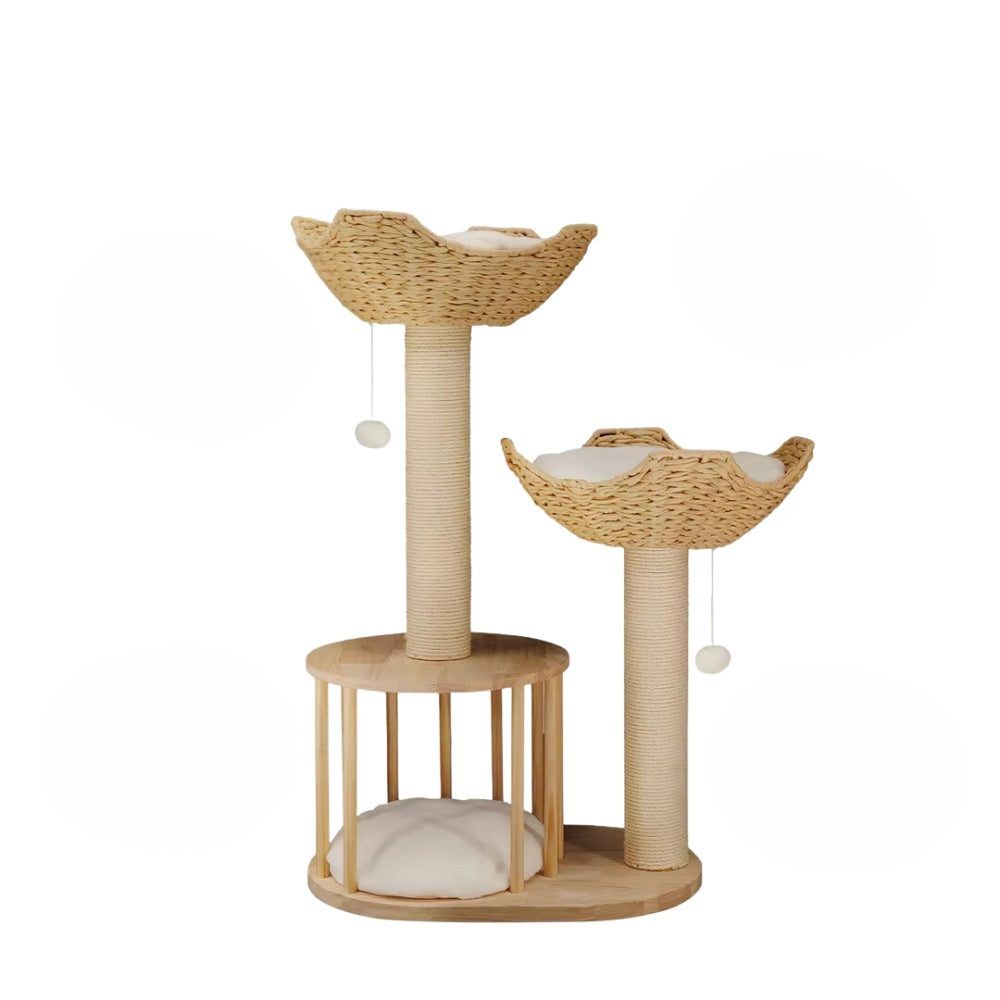 2025010702388 - Pet Centric