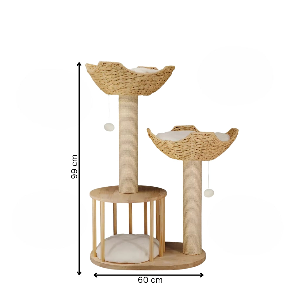 2025010702389 - Pet Centric