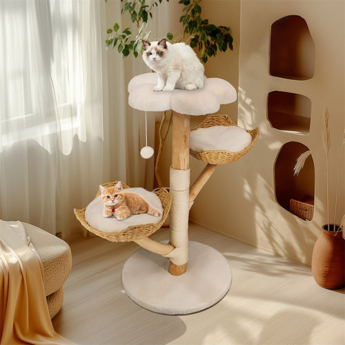 2025010702561 - Pet Centric