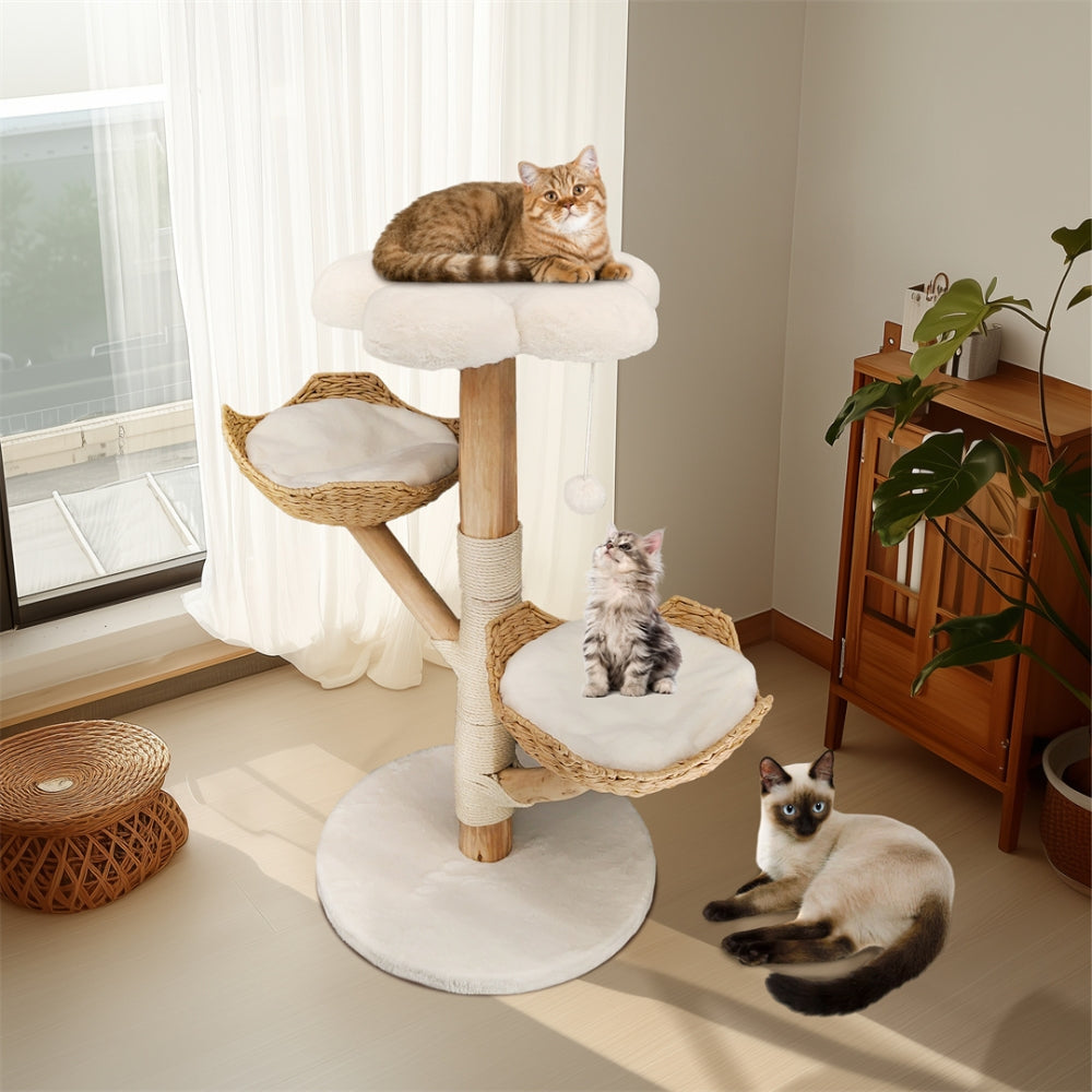 2025010702563 - Pet Centric