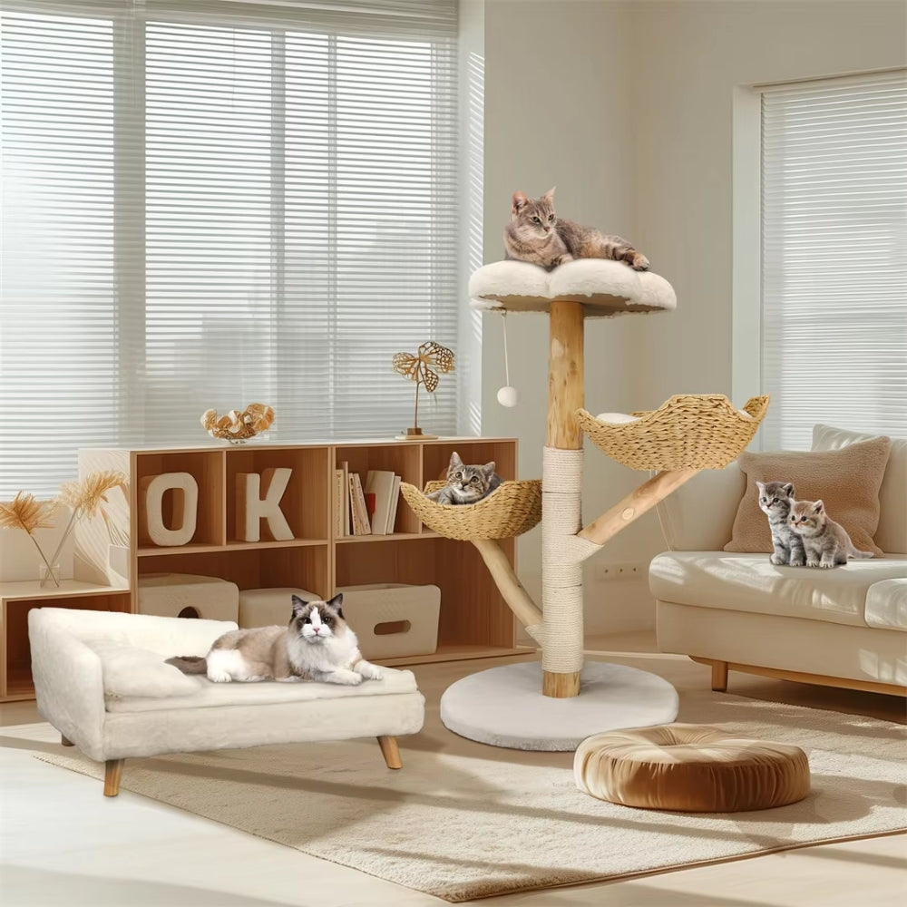 2025010702564 - Pet Centric