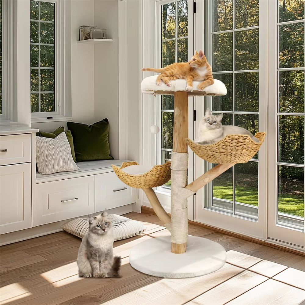 2025010702565 - Pet Centric