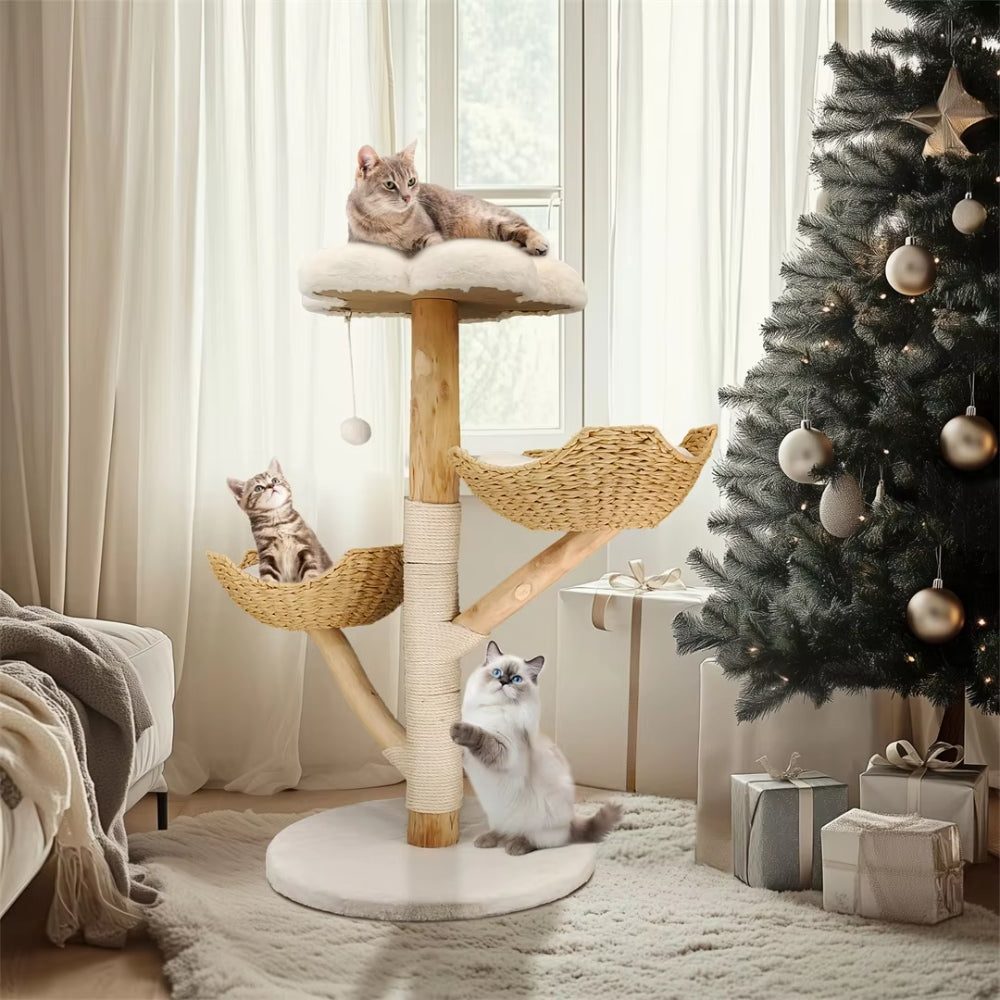 2025010702566 - Pet Centric