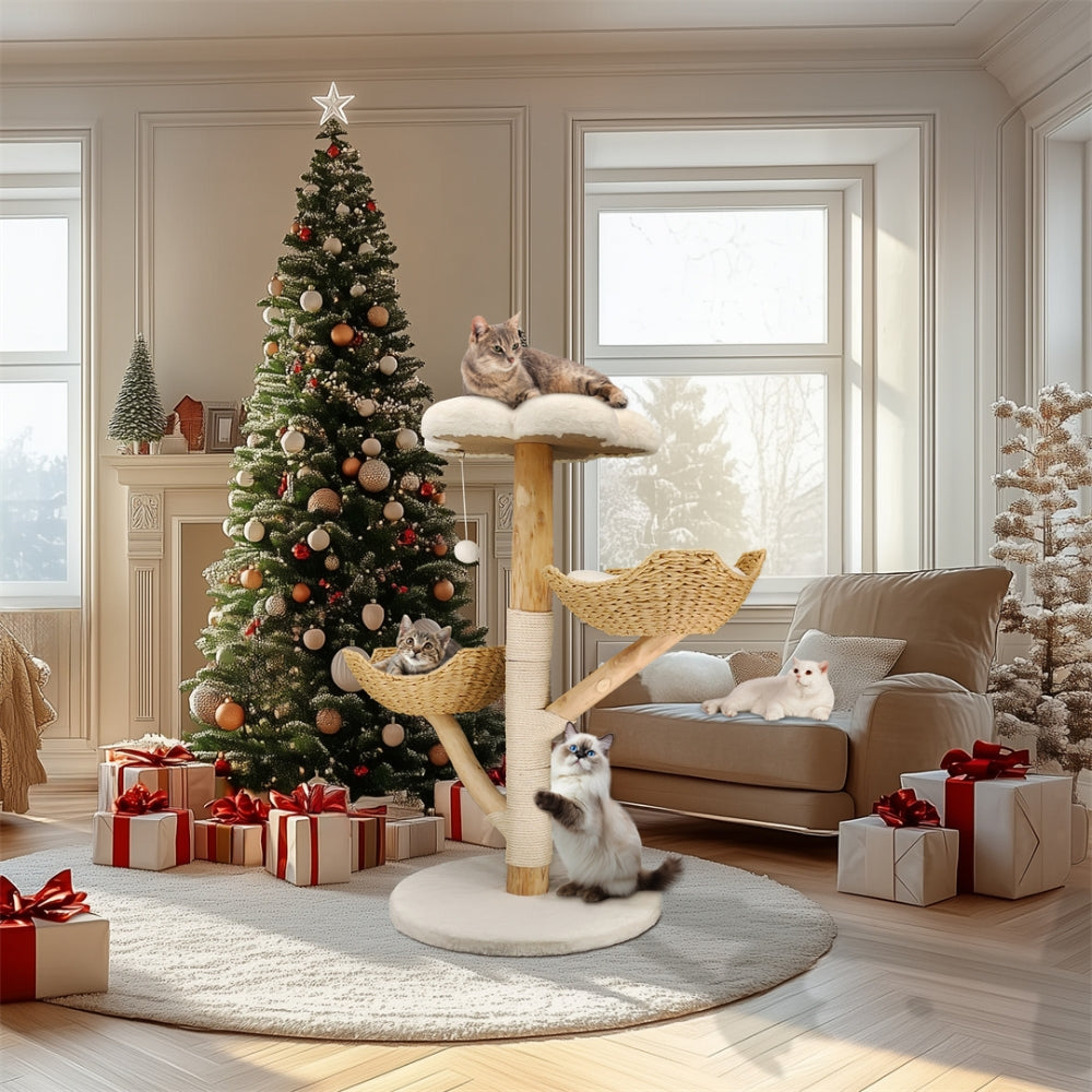 2025010702567 - Pet Centric
