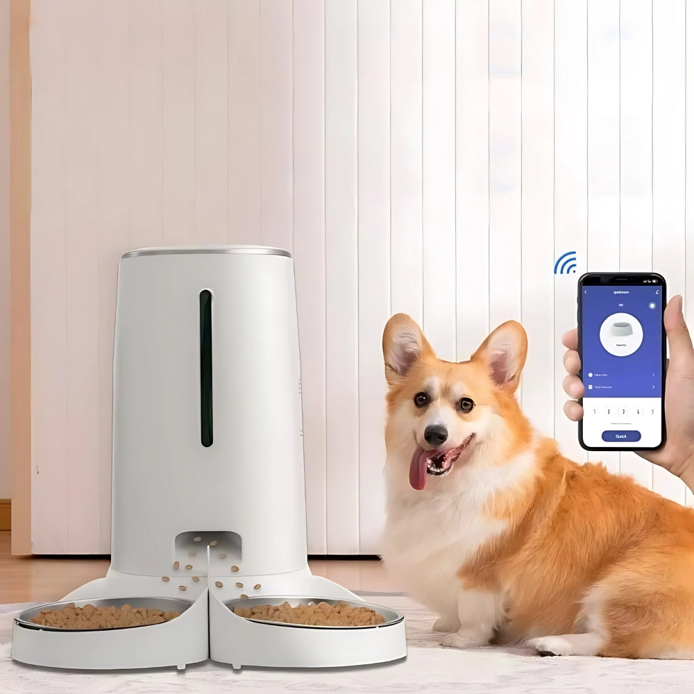 2025031806461 - Pet Centric