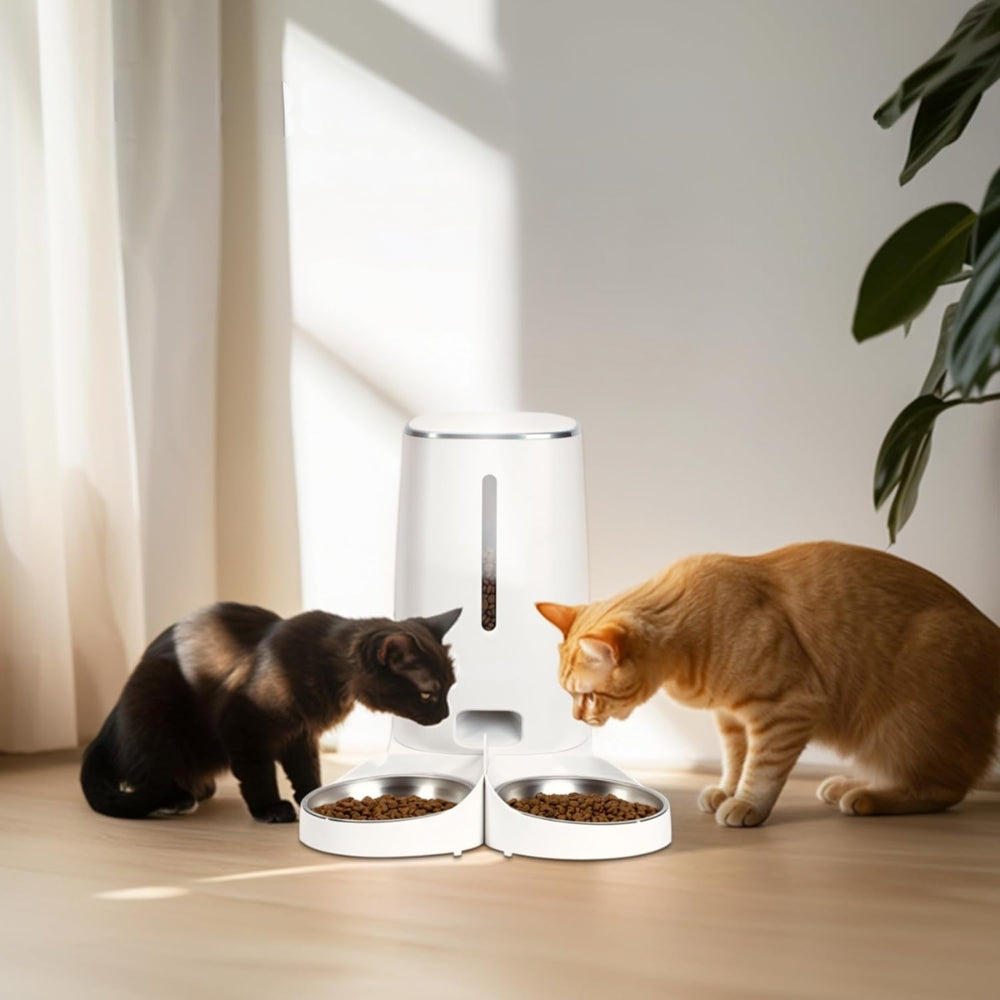 2025031806462 - Pet Centric