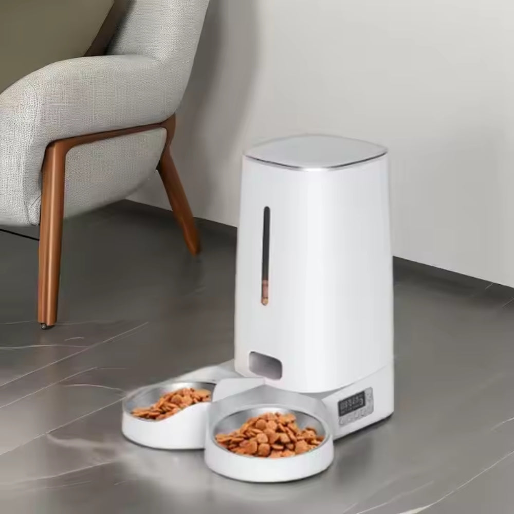 2025031806464 - Pet Centric