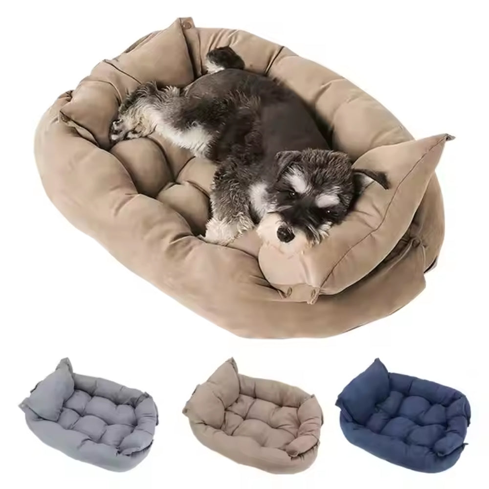 2025061802181 - Pet Centric