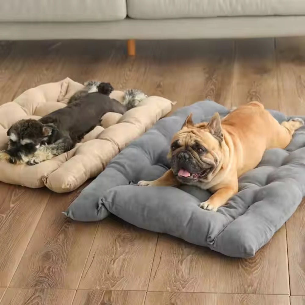 2025061802184 - Pet Centric