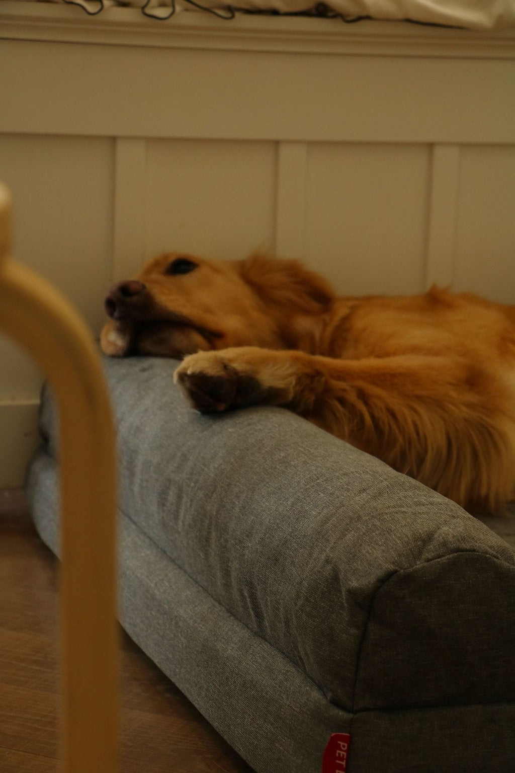 Orthopedic Dog Bed | 25D Memory Sponge | Waterproof & Removable Cover