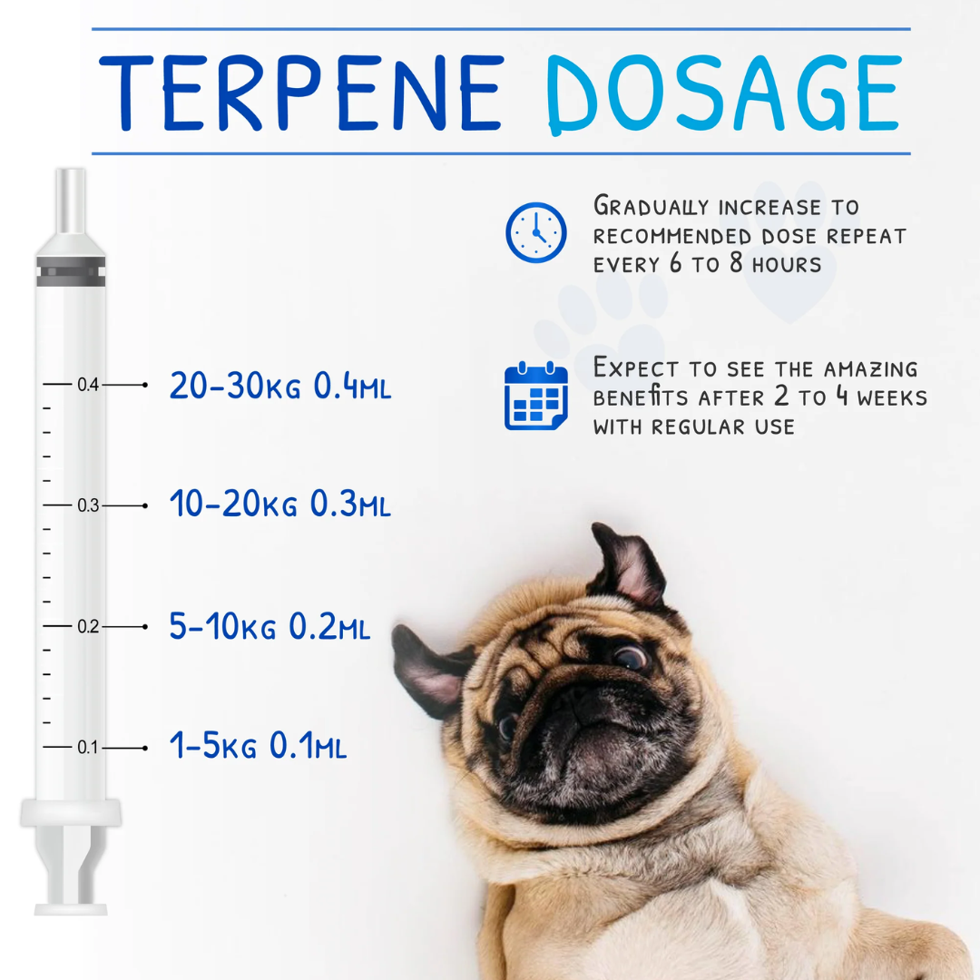 3_68493994-1ec9-4d10-84c0-3cd2693d89b9 - Pet Centric