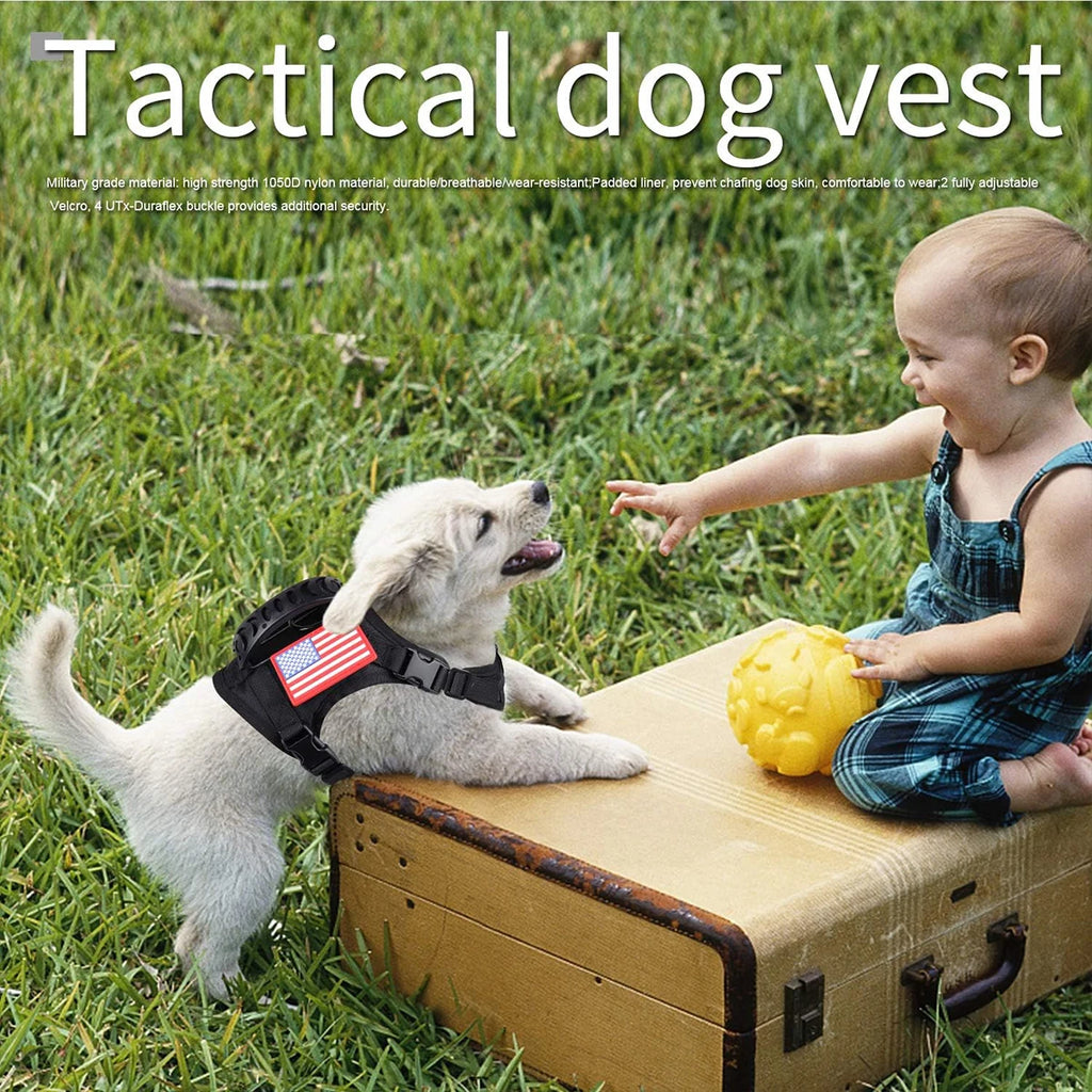 A099c1084bcca4011883417eb3519f2257 - Pet Centric